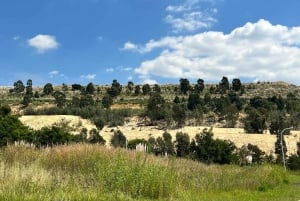 Johannesburg, musée de l'Apartheid et Soweto
