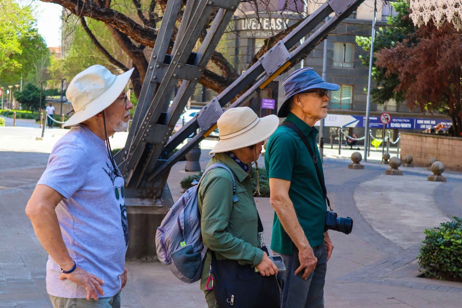 Johannesburg: Arkitektonisk vandretur