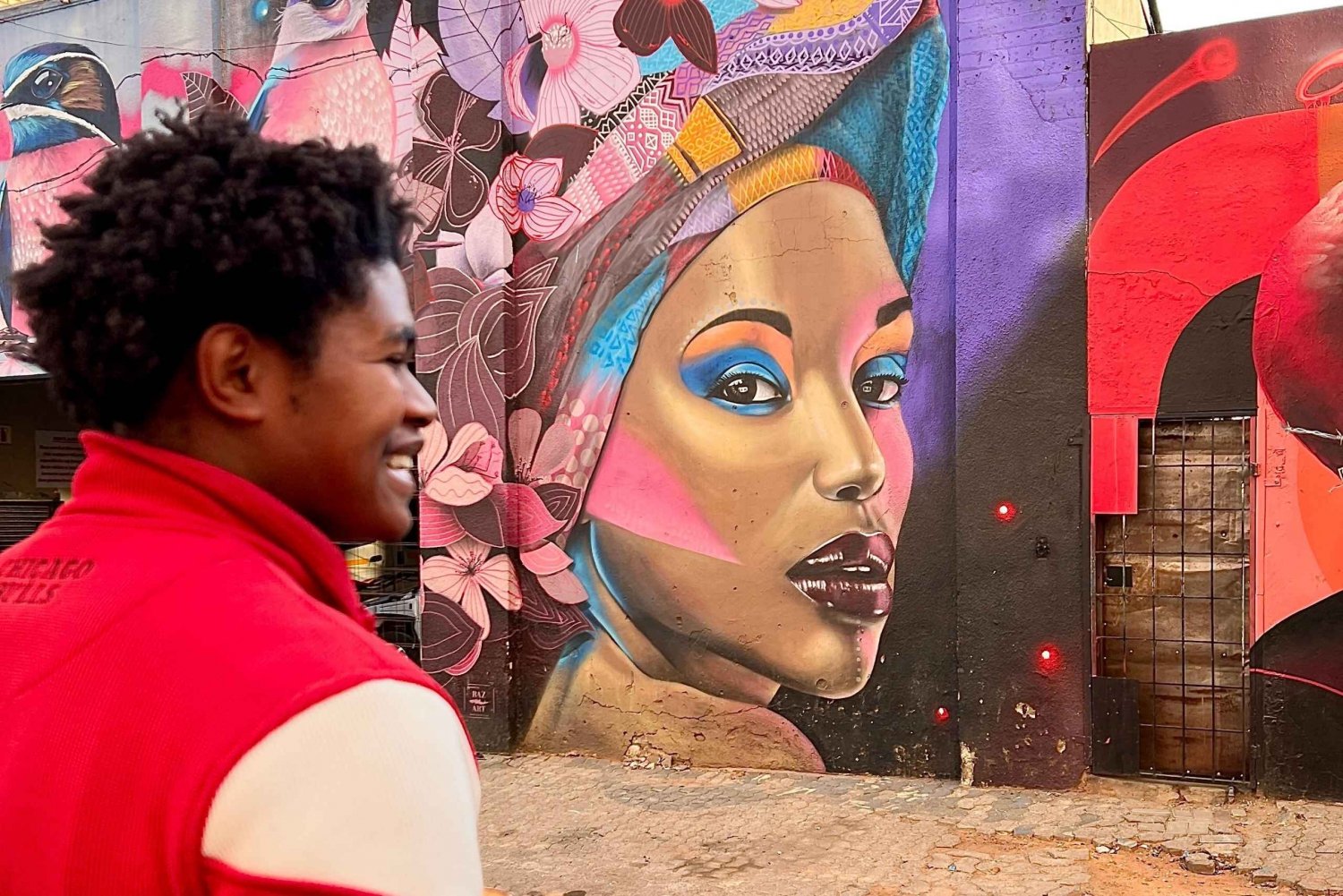 Johannesburg: Kunstvandring