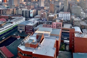 Johannesburg: Konstvandringar