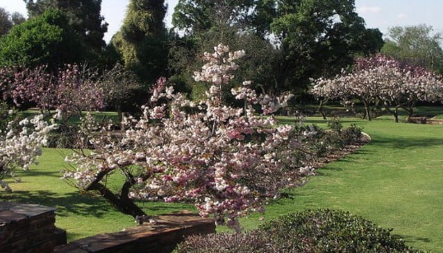Johannesburg Botanical Gardens