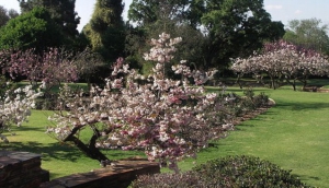 Johannesburg Botanical Gardens