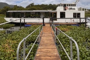 Johannesburg: Cableway and Lunch Boat Cruise Half Day Tour