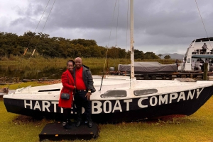 Johannesburg: Cableway and Lunch Boat Cruise Half Day Tour