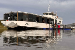 Johannesburg: Halvdagstur med taubane og lunsjcruise