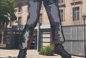 Wycieczka po mieście Johannesburg (półdniowa)