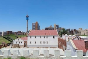 Johannesburg: City Tour with Old Fort & Cradle of Humankind