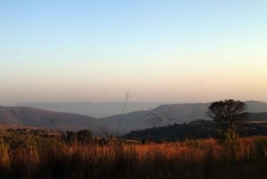 Johannesburg: City Tour with Old Fort & Cradle of Humankind