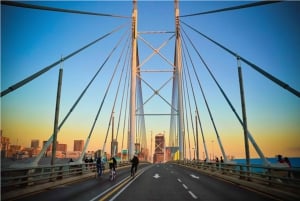 Johannesburg: City Tour with Old Fort & Cradle of Humankind