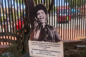 Johannesburgo: tour de la ciudad con el Fuerte Viejo y la Cuna de la Humanidad