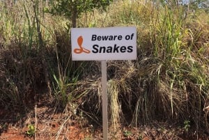 Johannesburgo: tour de la ciudad con el Fuerte Viejo y la Cuna de la Humanidad