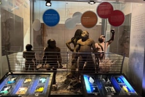 Johannesburg: Menneskehetens vugge og Harties Aerial Cableway