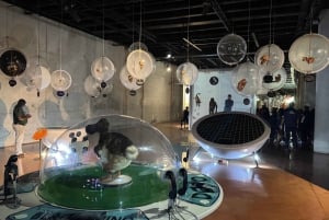 Johannesburg: Menneskehetens vugge og Harties Aerial Cableway