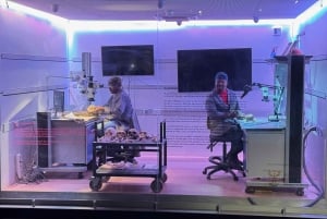 Johannesburg: Menneskehetens vugge og Harties Aerial Cableway