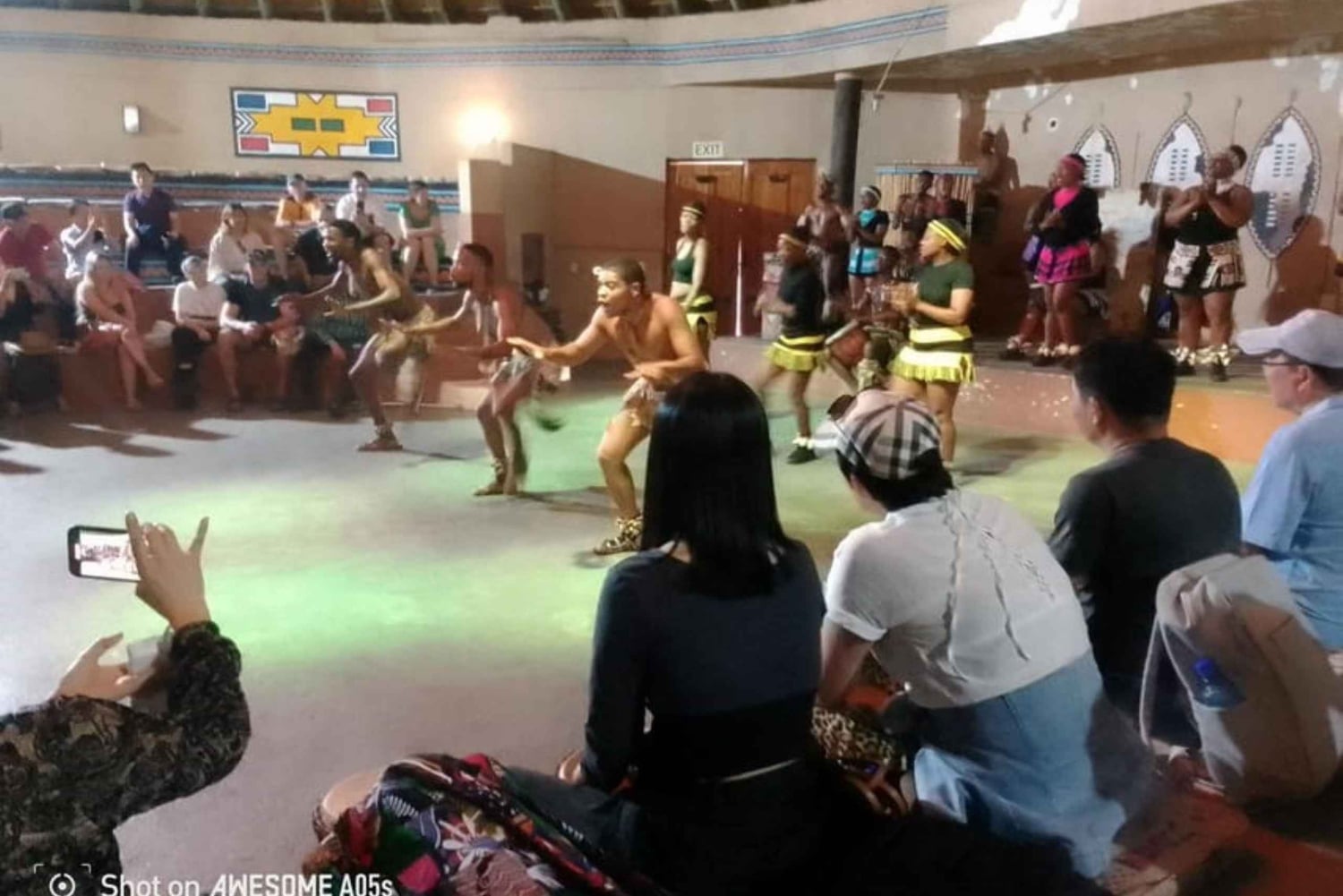 Johannesburg: Cradle of Humankind, Lion Park & Lesedi Tour