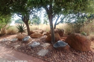 Johannesburg: Cradle of Humankind, Lion Park & Lesedi Tour