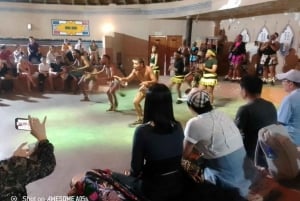 Johannesburg: Cradle of Humankind, Lion Park & Lesedi Tour