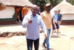 Johannesburg: Cradle of Humankind, Lion Park & Lesedi Tour