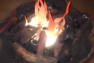 Johannesburg: Cradle of Humankind, Lion Park & Lesedi Tour