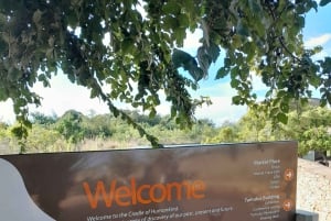 Johannesburg: tour della Culla dell'umanità e delle grotte di Sterkfontein