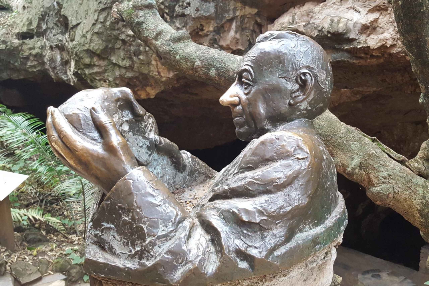 Johannesburg: Cradle of Humankind World Heritage Site Tour