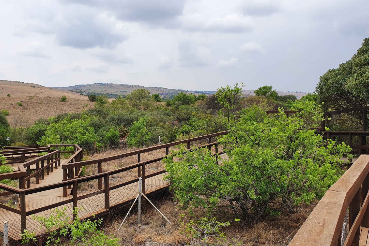 Johannesburg: Cradle of Humankind World Heritage Site Tour