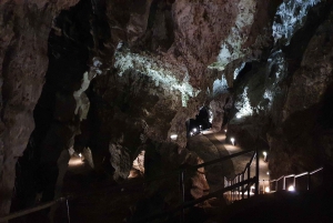 Johannesburg: Cradle of Humankind World Heritage Site Tour