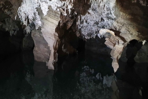 Johannesburg: Cradle of Humankind World Heritage Site Tour