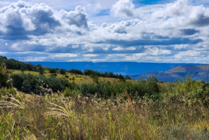 Johannesburg: Cradle of Humankind World Heritage Site Tour