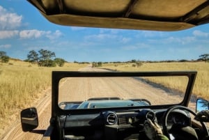 Johannesburg: Day Trip to Cradle of Humankind and Game Drive