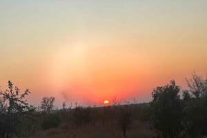 Johannesburg: Dinokeng Resort – todagers safaritur