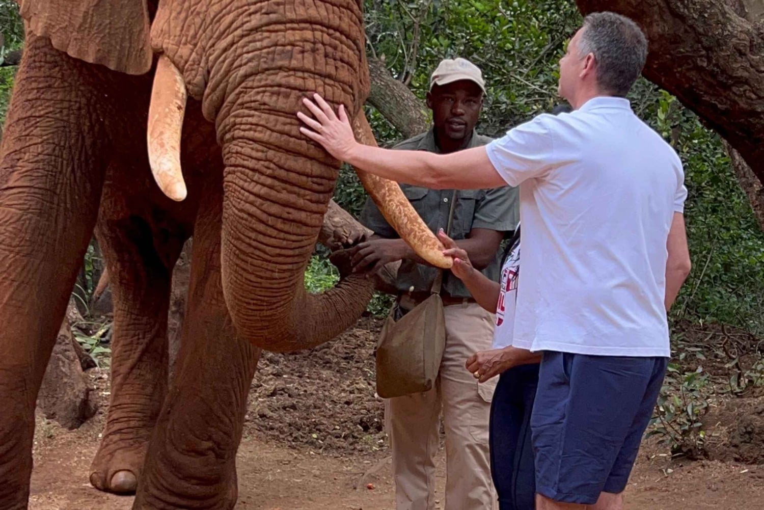 Johannesburg: Halbtagestour zum Elefanten- und Affenschutzgebiet