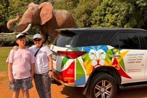 Johannesburg: Elephant and Monkey Sanctuary Half Day Tour