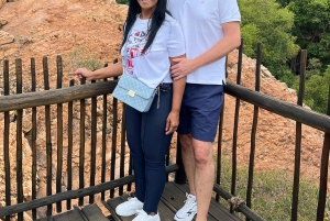 Johannesburg: Halbtagestour zum Elefanten- und Affenschutzgebiet