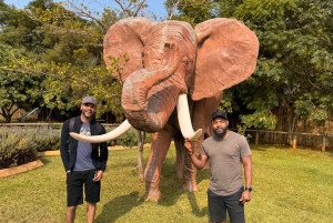 Johannesburg: Halbtagestour zum Elefanten- und Affenschutzgebiet