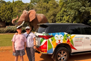 Johannesburg: Halbtagestour zum Elefanten- und Affenschutzgebiet