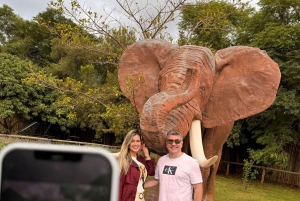 Johannesburg: Halbtagestour zum Elefanten- und Affenschutzgebiet