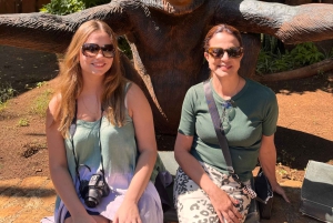 Johannesburg: Halbtagestour zum Elefanten- und Affenschutzgebiet