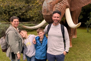 Johannesburg: Halbtagestour zum Elefanten- und Affenschutzgebiet