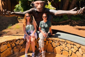 Johannesburg: Halbtagestour zum Elefanten- und Affenschutzgebiet