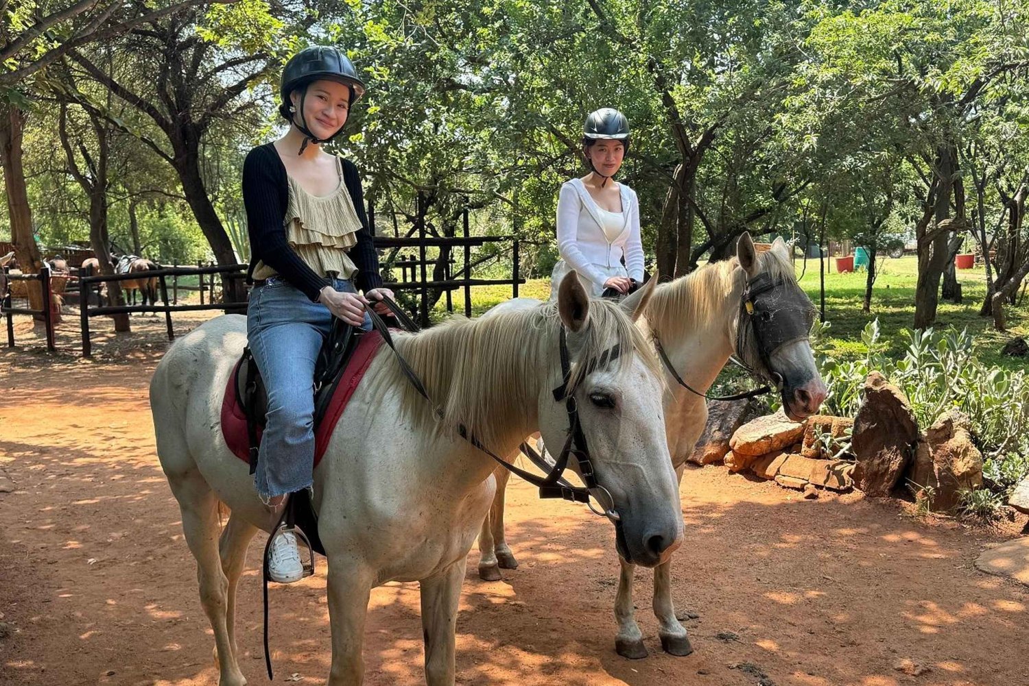 Johannesburg: Elephant, Horse Riding, and Lion Safari Tour