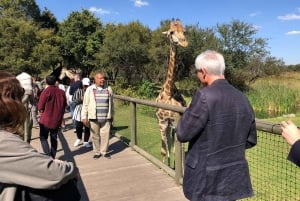 Johannesburg: Tour con elefanti, equitazione e safari con i leoni