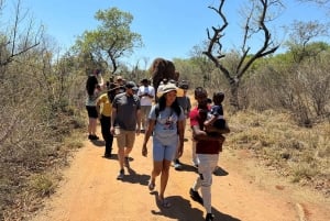 Johannesburg: Elefanten, Reiten und Löwen Safari Tour