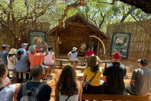 Johannesburg: Elefanten, Reiten und Löwen Safari Tour