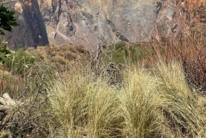 Johannesburg: Ganztägiger Besuch der Cullinan Diamond Mine & des Diamantenshops