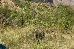 Johannesburg: Ganztägiger Besuch der Cullinan Diamond Mine & des Diamantenshops