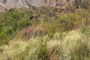 Johannesburg: Ganztägiger Besuch der Cullinan Diamond Mine & des Diamantenshops