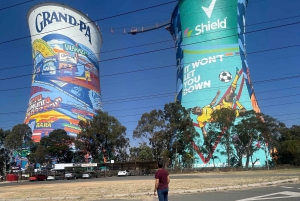 Johannesburg: dagtour met Apartheidmuseum en Soweto