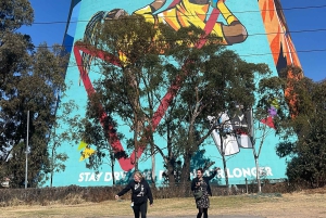 Johannesburg: dagtour met Apartheidmuseum en Soweto