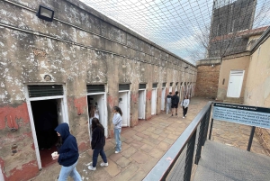 Johannesburg: dagtour met Apartheidmuseum en Soweto